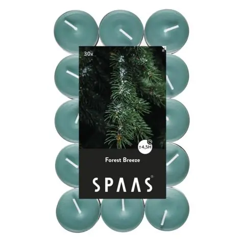 Duftteelichter Forest Breeze – Pine & Cedar Trees – 30 Stück, 4,5 h