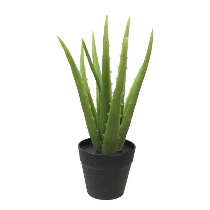 Künstliche Aloe Vera 25 cm mit Topf