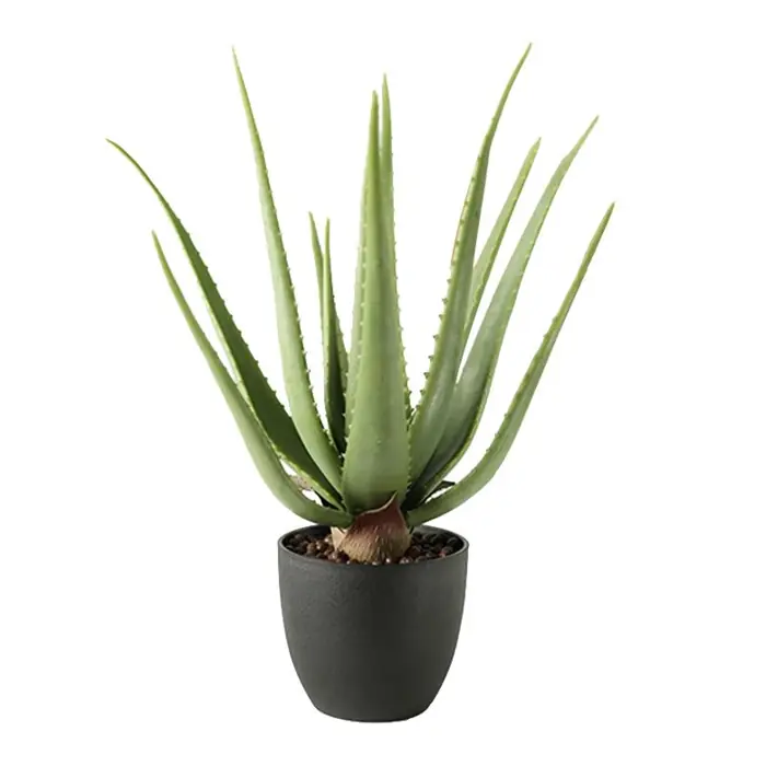 Künstliche Aloe Vera im Topf 45 cm
