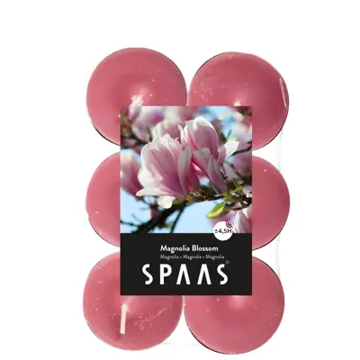 Duftteelichter Magnolienblüte – 12 Stück, 4,5 h