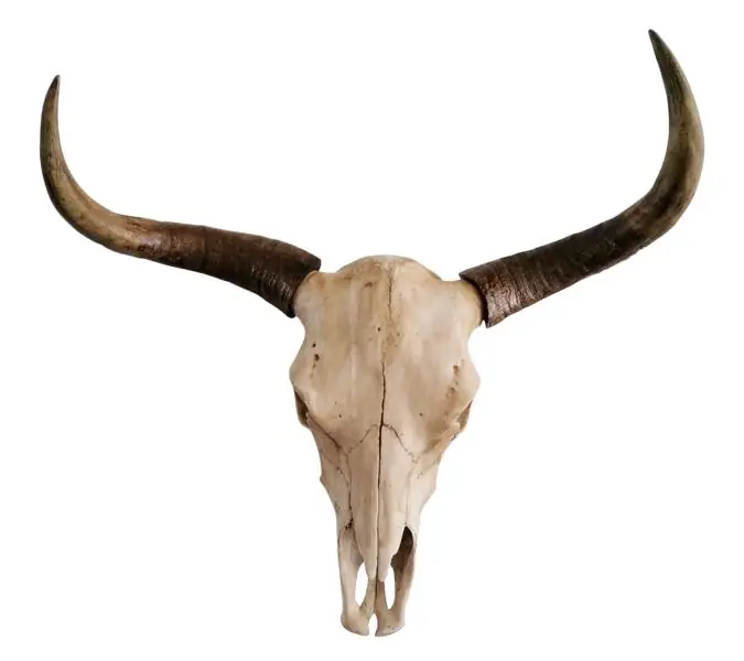 Stierkopf XXL Natur Polyresin handbemalt 73 × 73 cm