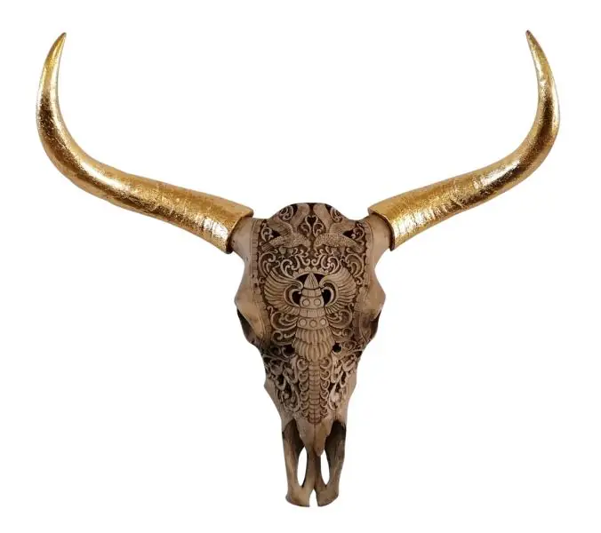 Stierkopf XXL Natur mit goldenen Hörnern Polyresin 71 × 72 cm