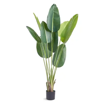 Künstliche Bananenpflanze 150 cm mit Topf