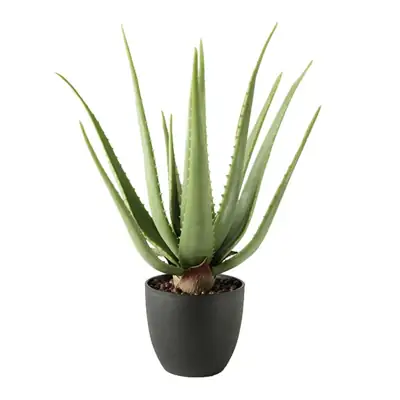 Künstliche Aloe Vera im Topf 45 cm