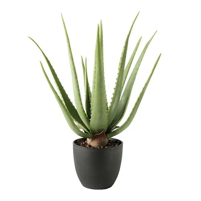 Künstliche Aloe Vera im Topf 45 cm
