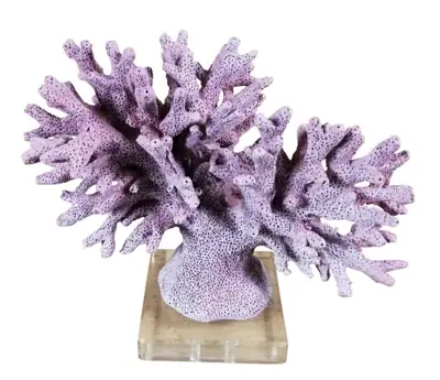 Koralle Deko-Statue Lila-Rosa auf Acrylglas-Fuß 20 cm