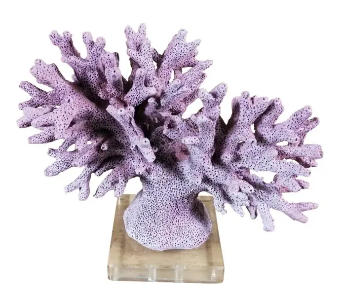 Koralle Deko-Statue Lila-Rosa auf Acrylglas-Fuß 20 cm