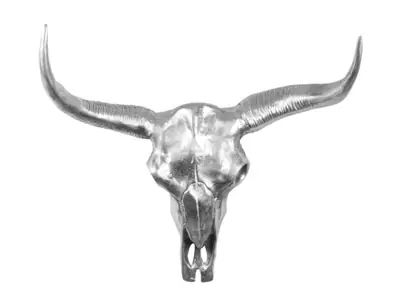Stierkopf XXL Büffelschädel Aluminium Silber 64 × 58 cm